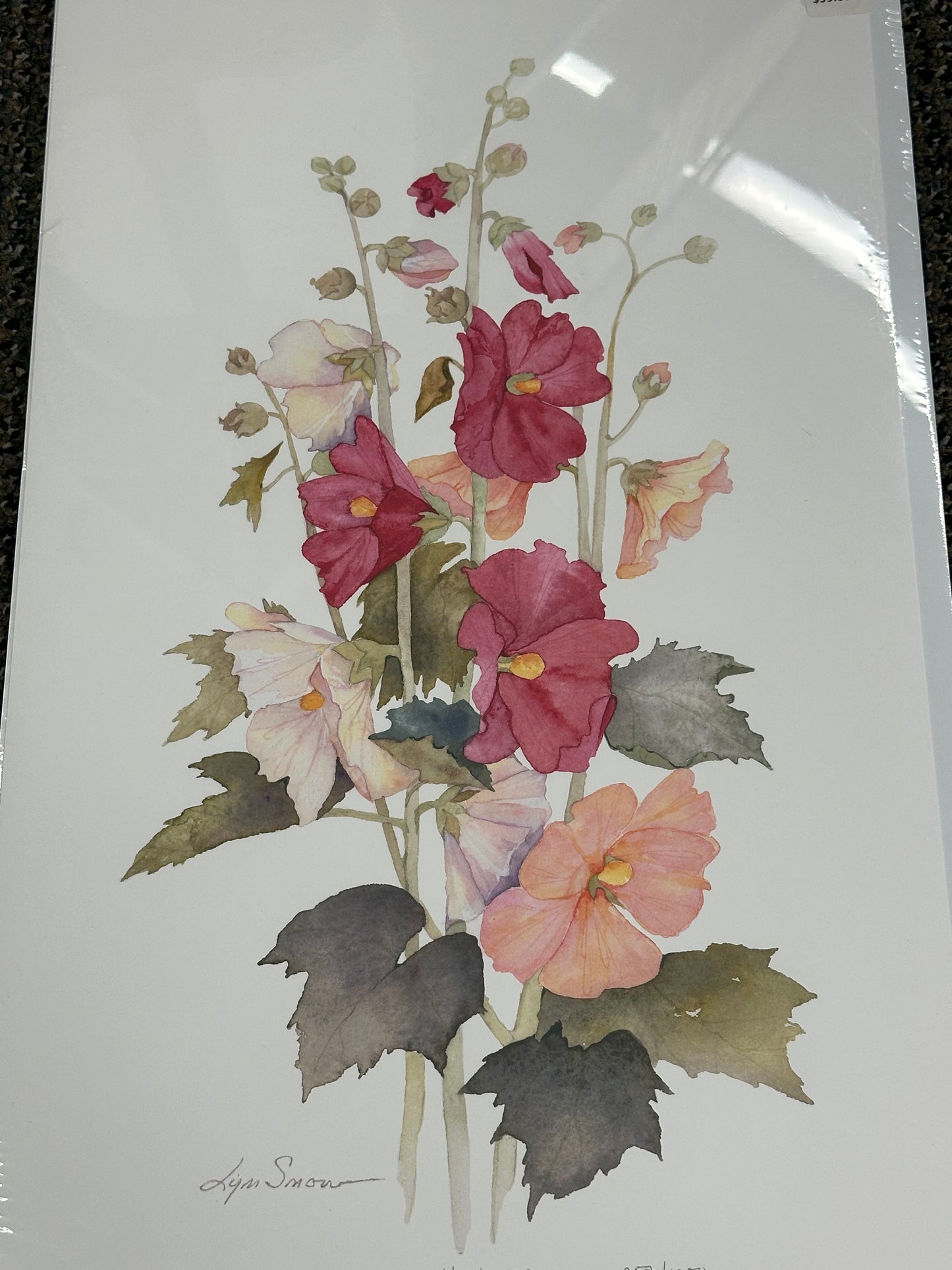 Lyn Snow - Print - $39.00