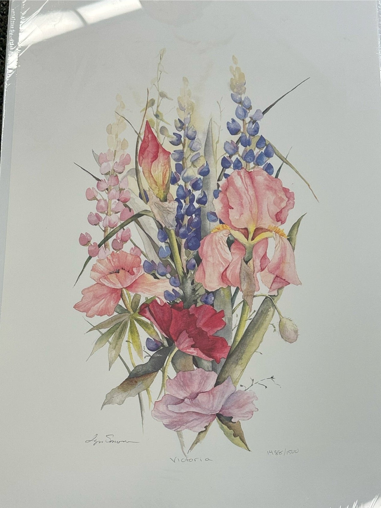 Lyn Snow - Print - $45.00