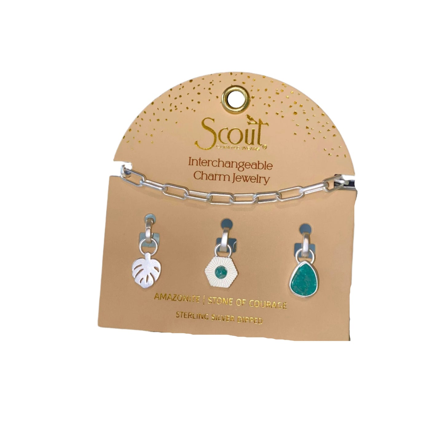 Interchangeable Charm Bracelets