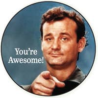Pin - You're awesome