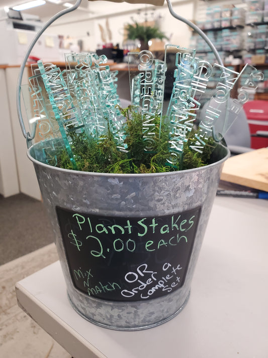 Plant Stake