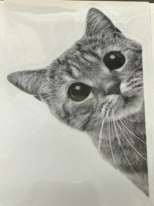 Sticker Lg - Cat