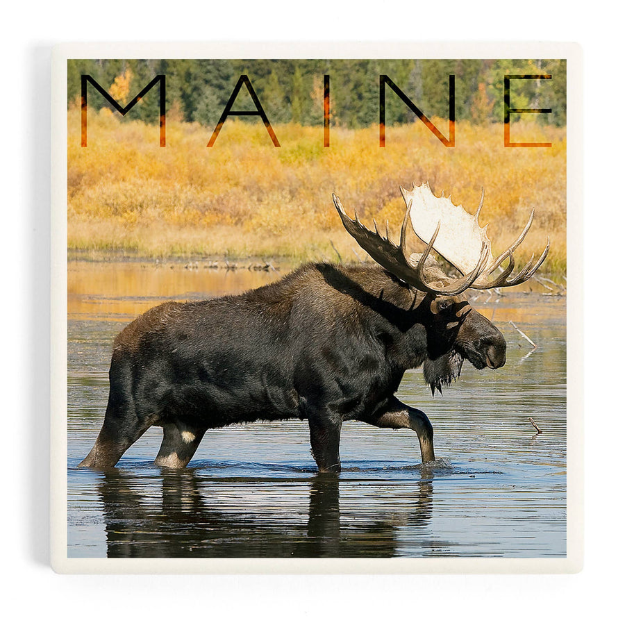 Coaster - Ceramic - Maine - Bull Moose in River