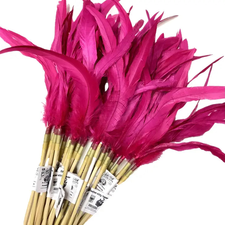 Cat Teaser - Feather