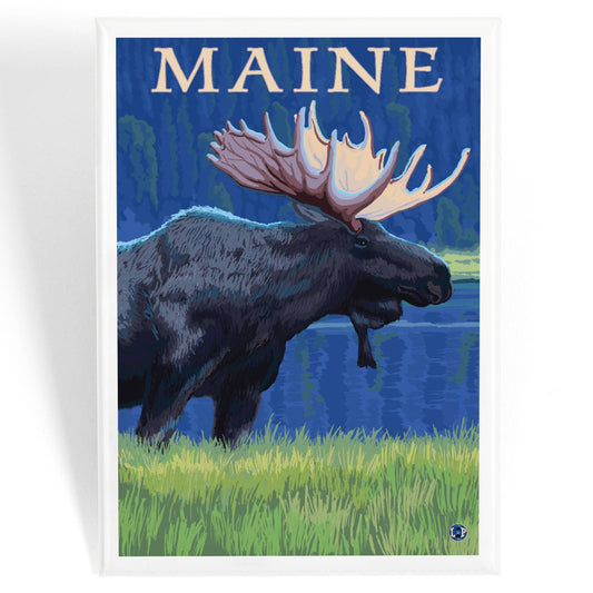 Magnet - Maine - Moose in the Moonlight