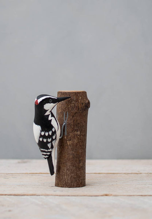 Woodpecker - Mini Downy