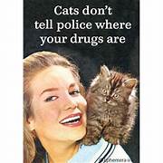 Magnet - You can't tell me what to do, you're not my cat.