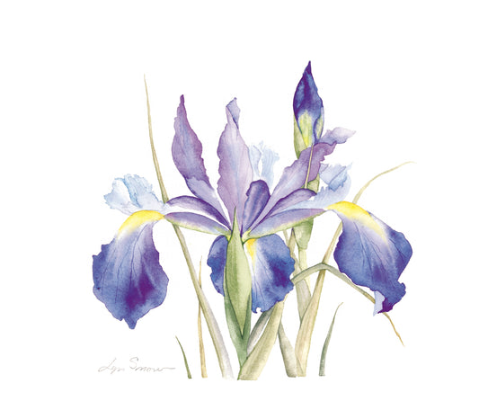 Lyn Snow - Fleur De Lis Print