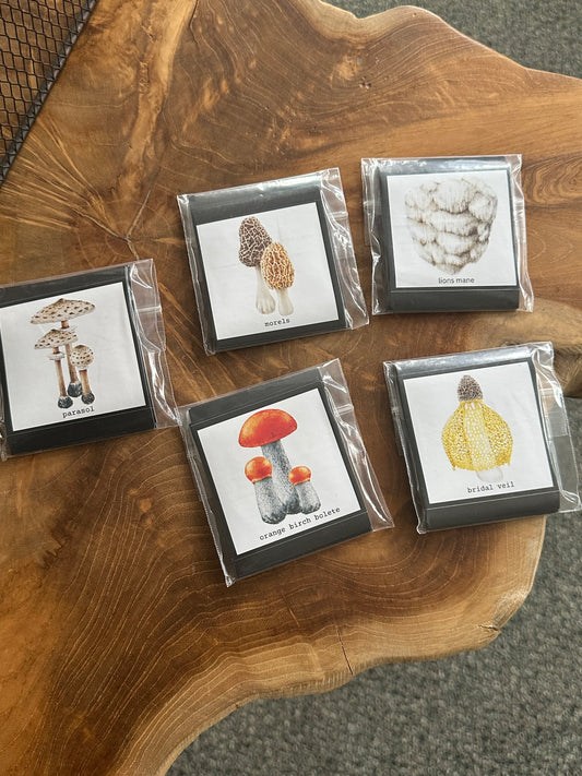 Mushroom Sticker Packs