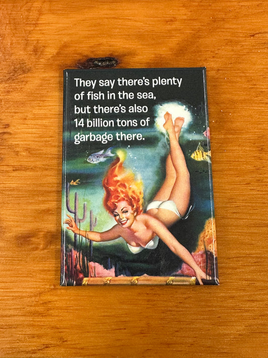 Magnet - They say there's plenty of fish in the sea but there's also 14 billion tons of garbage there.