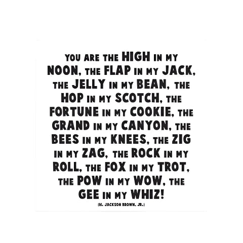 Magnet - You Are The High In My Noon