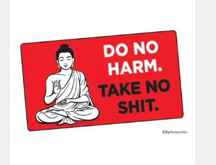 Sticker - Do no harm. Take no shit.