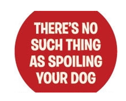 Pin - Spoiling your Dog