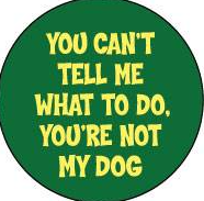 Pin - Not my Dog