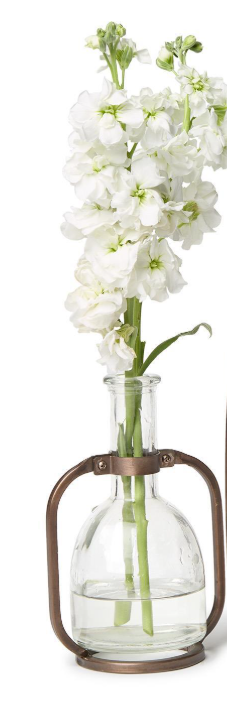 Glass Bottle Vase with Metal Stand