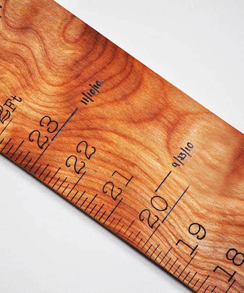 Ruler - Timeline Growth Ruler - 6' 6" Long - Made in Skowhegan ME.