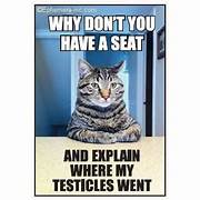 Magnet - You can't tell me what to do, you're not my cat.