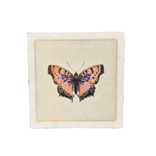 Flora & Fauna Collection - Pink Butterfly