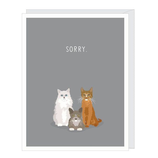 Card - Cat Sympathy - Sorry
