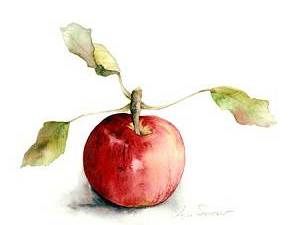 Lyn Snow - Apple Print