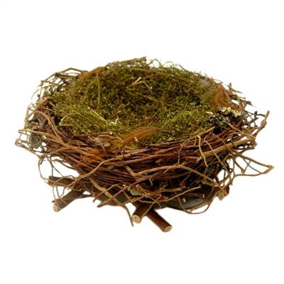 Wrens Nest - Lrg