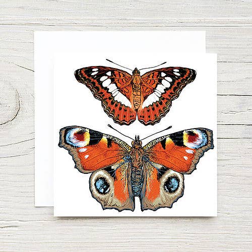 Card - Mini Notes Card Set - Butterflies
