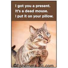 Magnet - Animal - I got you a present. Its a dead mouse. I put it on your pillow.