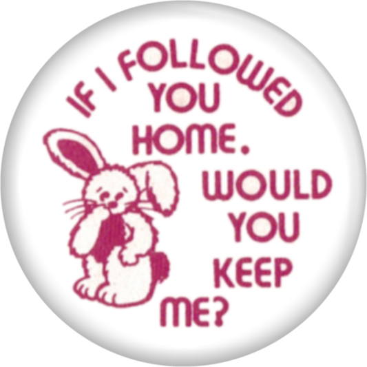 Button - If I Followed You Home..