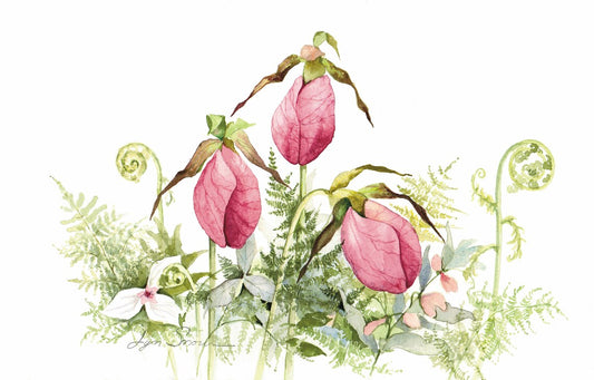 Lyn Snow - Lady Slippers Print