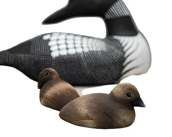 Loon - Baby Set of 2