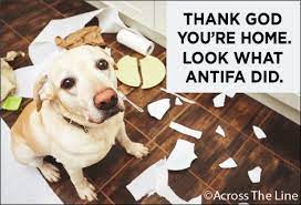 Magnet - Animal - Thank god you're home. Look what antifa did.
