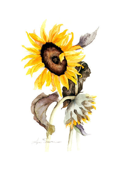 Lyn Snow - Sunflower Print