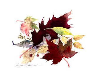 Lyn Snow - Windfall II Print