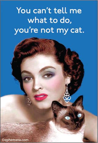 Magnet - You can't tell me what to do, you're not my cat.